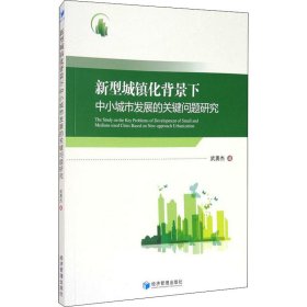 正版 新型城镇化背景下中小城市发展的关键问题研究 武勇杰 经济管理出版社