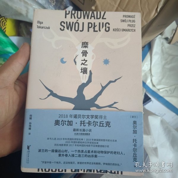 糜骨之壤（诺贝尔文学奖得主托卡尔丘克最新长篇小说）