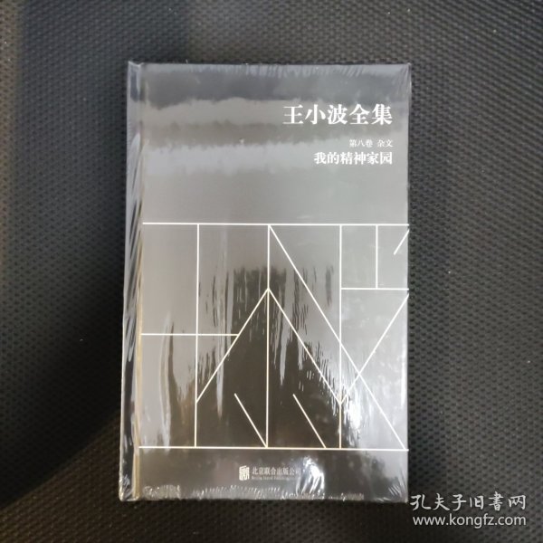 王小波全集（第八卷 杂文）：我的精神家园