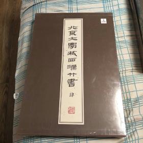 北京大学藏西汉竹书（肆）：《妄稽》、《反淫》