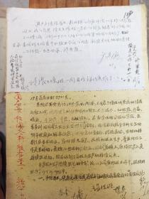 内蒙古自治区畜牧厅兽医局 敖汉旗畜牧局 1960年畜疫防治工作报告  有批示