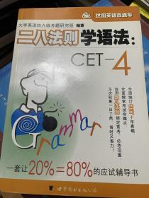 二八法则学语法:CET-4