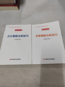 审计技巧丛书：多维数据分析技巧+会计数据分析技巧（2册合售）