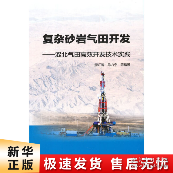 复杂砂岩气田开发——涩北气田高效开发技术实践