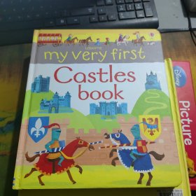 my Very first CastIes book
