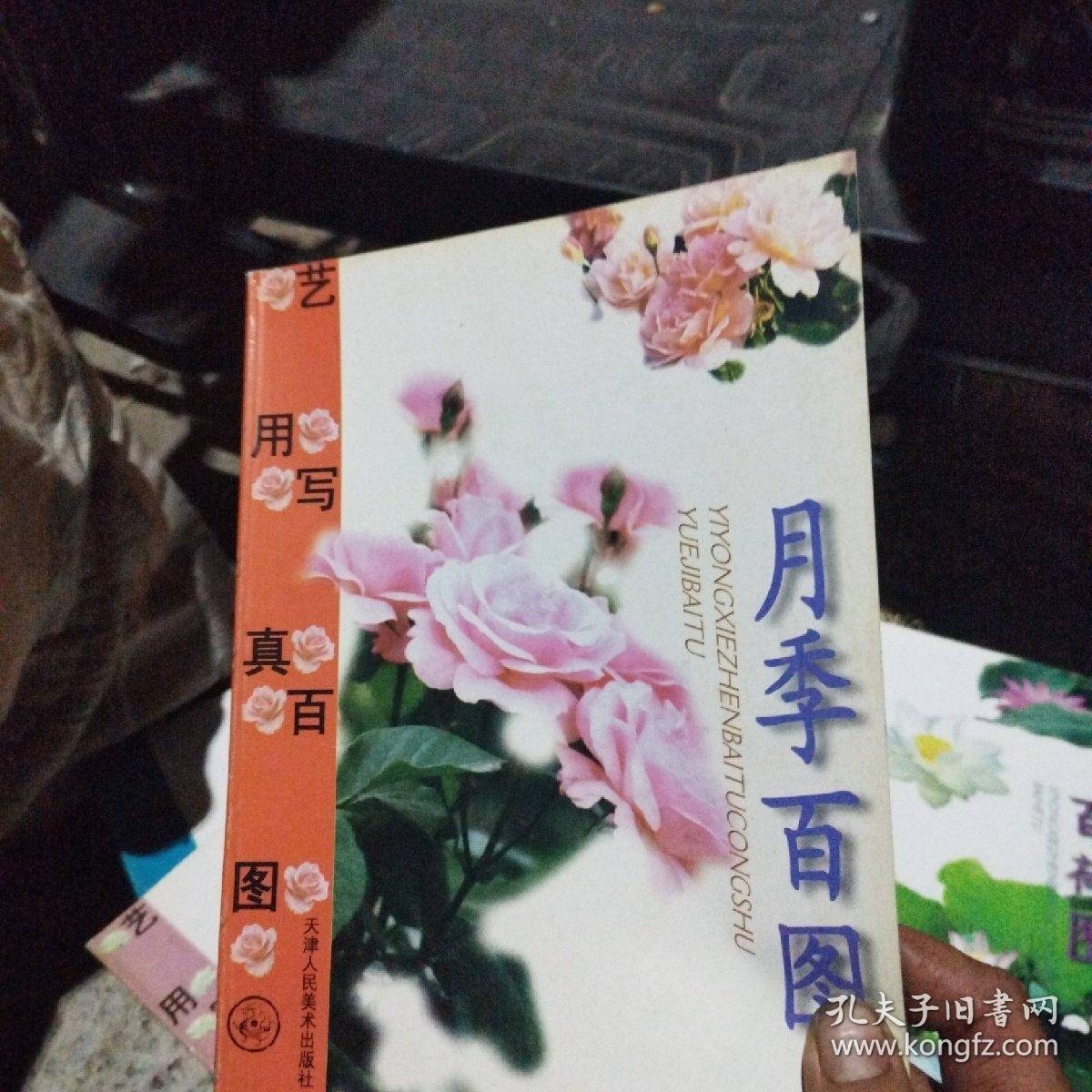 月季百图