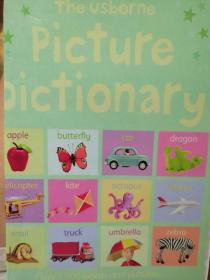 the usborne picture dictionary