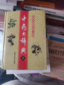 中药大辞典（缩印本）（上册），