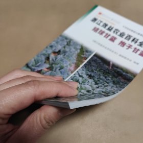 浙江效益农业百科全书 结球甘蓝抱子甘蓝