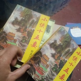 小侠十五妻（中下册