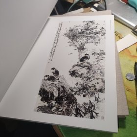 乱花深处—韩英偉花鸟画作品集