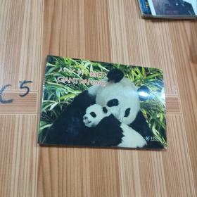 中国大熊猫明信片