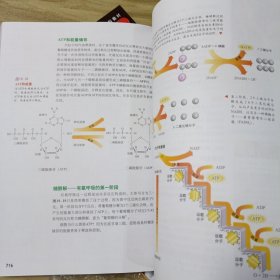 科学发现者： 化学 概念与应用 上中下（全三册）.物理 原理与问题 上中下(全三册). 生物 生命的动力 （全三册）共三套9册全