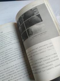 带电的肉体
