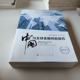 2017中国与全球金融风险报告