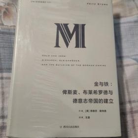 理想国译丛·金与铁： 俾斯麦、布莱希罗德与德意志帝国的建立（NO：023）