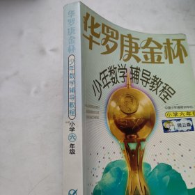 华罗庚金杯少年数学辅导教程-小学六年级