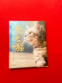 观复猫：史上无猫不传奇