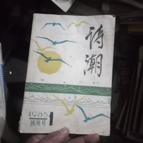 诗潮1985年1创刊号