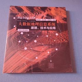 大数据地理信息系统：原理、技术与应用