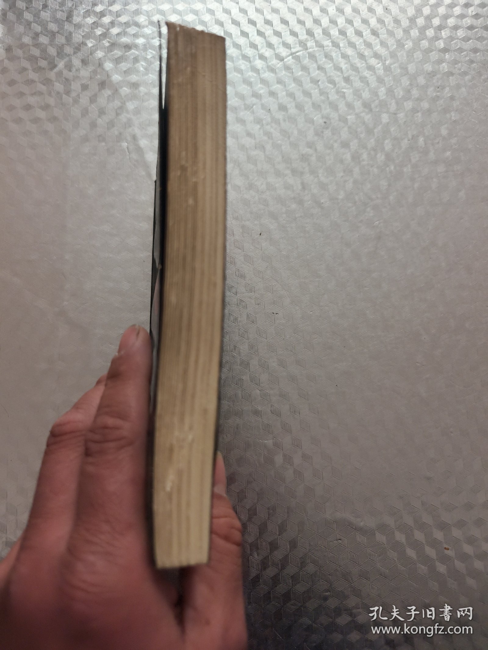 未知之门-邵伟华与周易预测索秘