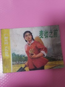 广阔天地 大有作为————麦收之前