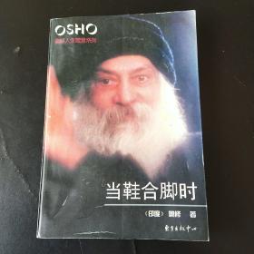 当鞋合脚时：奥修人生箴言系列