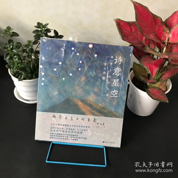 诗意星空——画布上的天文学