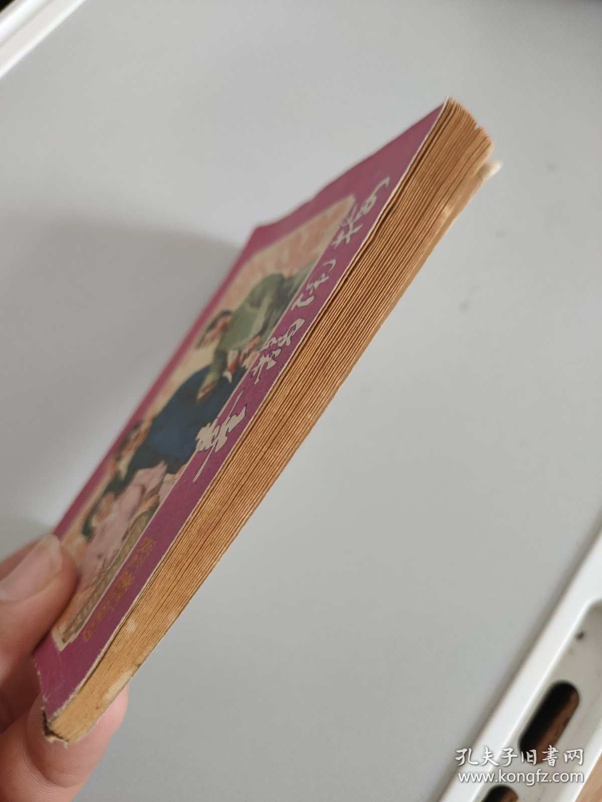 连环画：喜鹊闹梅