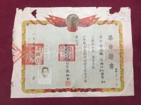 1954年上海市蓬莱区肇周路小学毕业证书，带学生照片，尺寸：34*26厘米，品如图，150包邮。