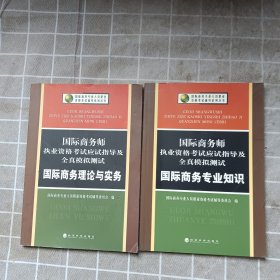 国际商务师执业资格考试应试指导及全真模拟测试：国际商务专业知识+ 国际商务理论与实务 2本合售