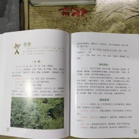 神农本草药膳食疗彩色图谱第一版