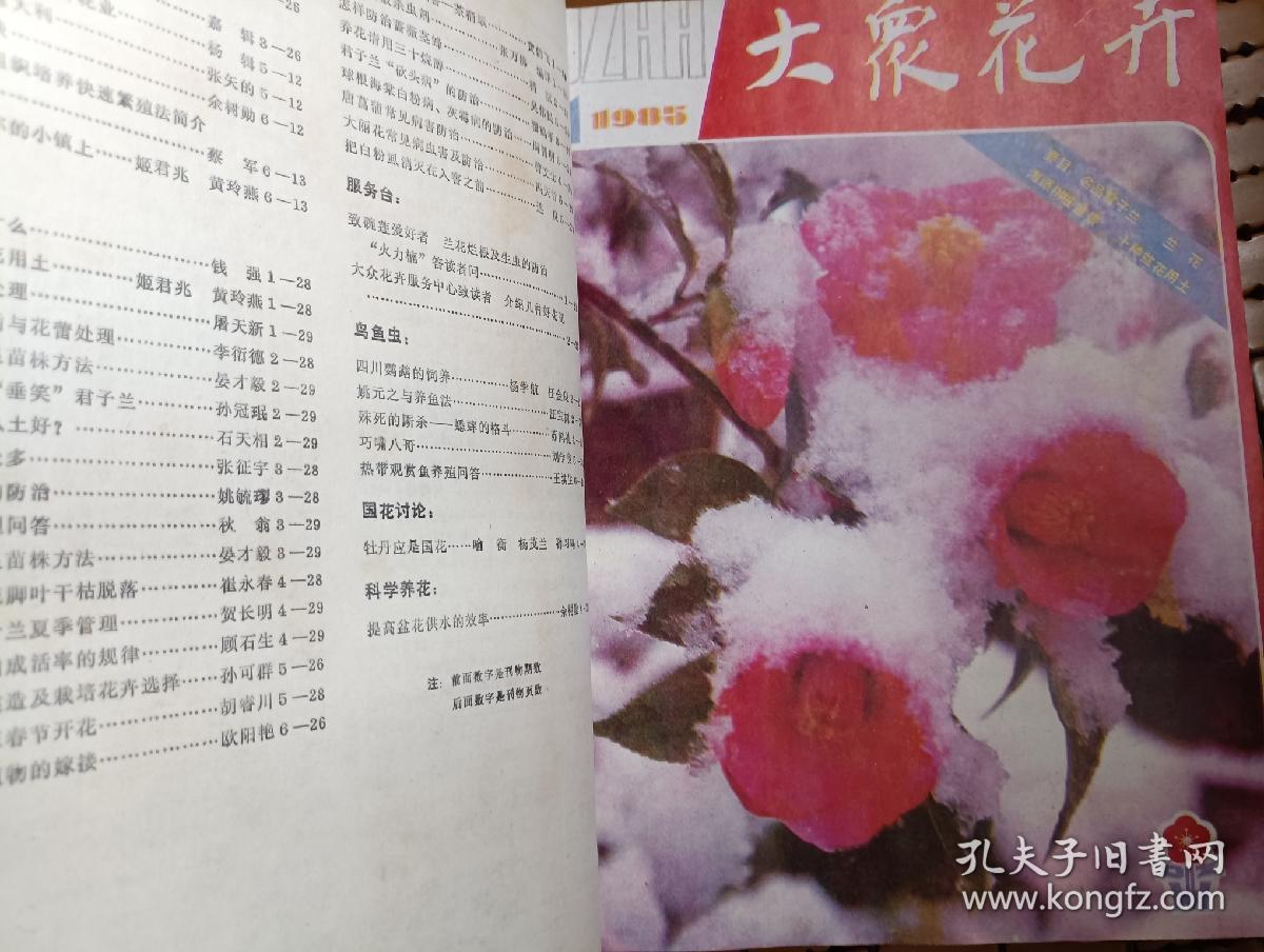 大众花卉1985年合订本