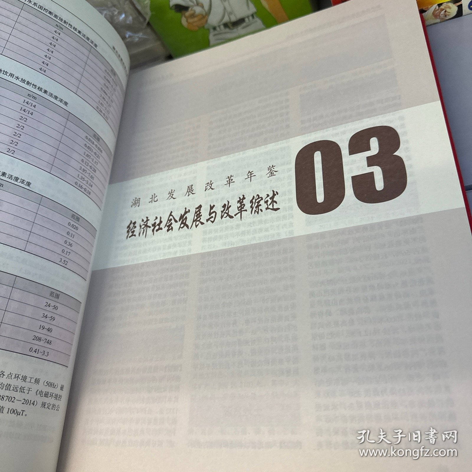 湖北发展改革年鉴 2022