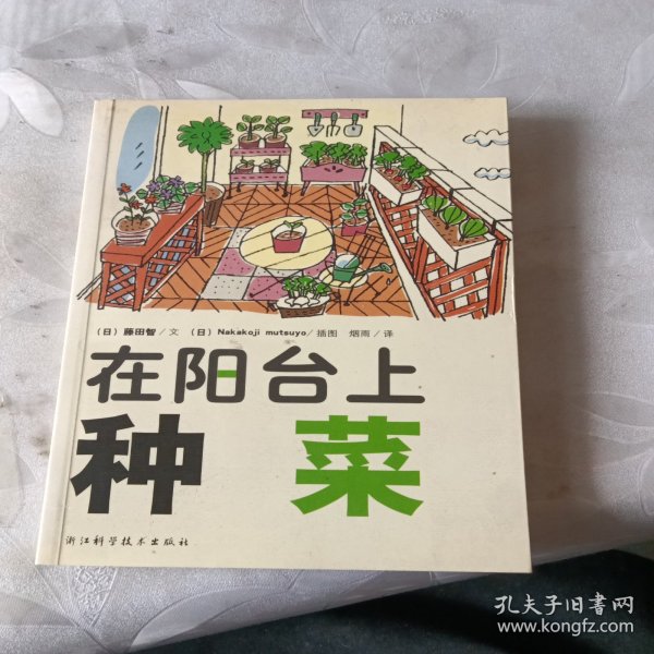 在阳台上种菜