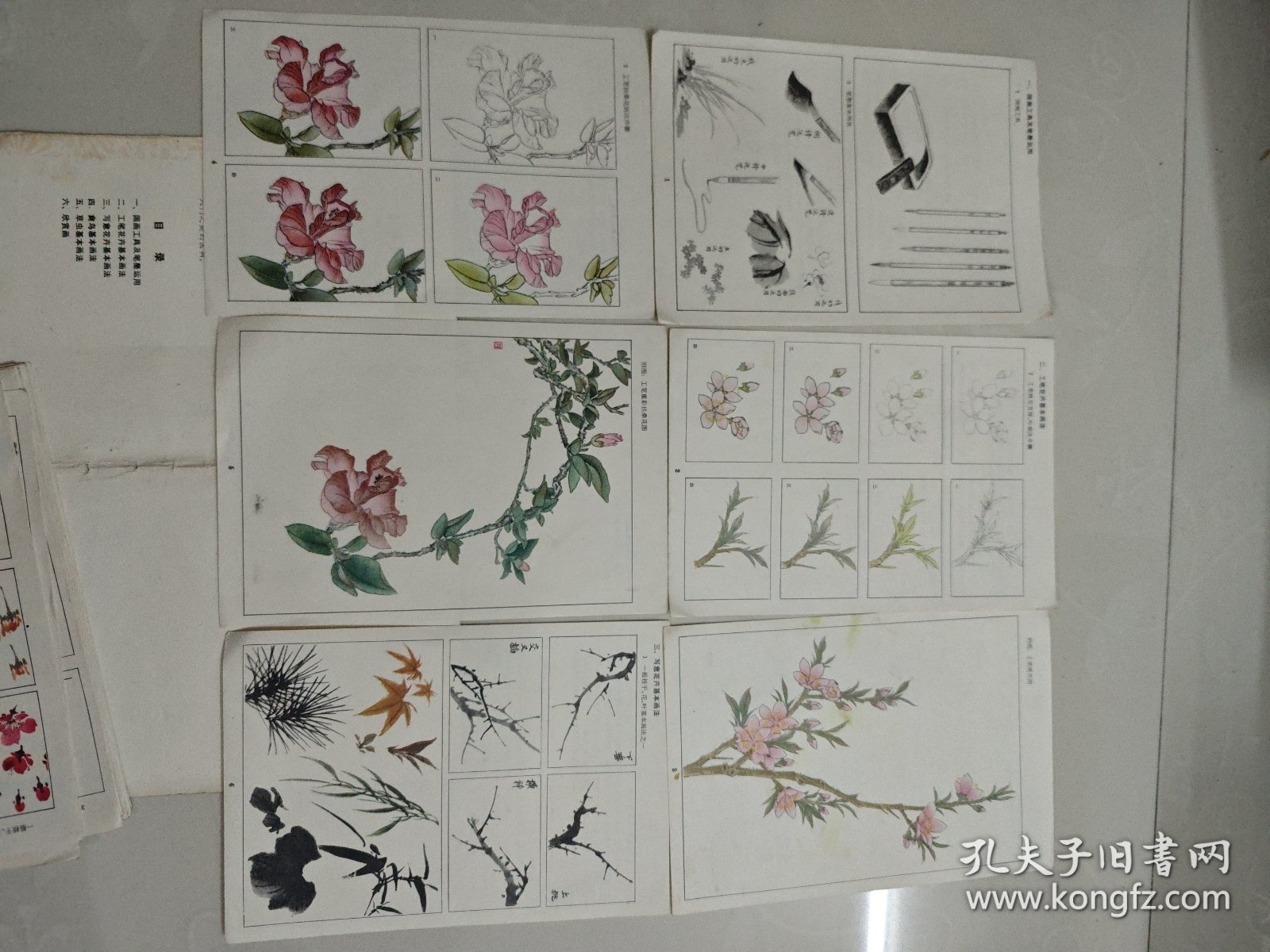 花鸟草虫画法入门 活页20页