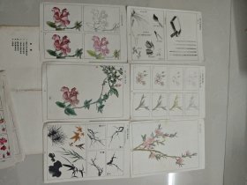 花鸟草虫画法入门 活页20页