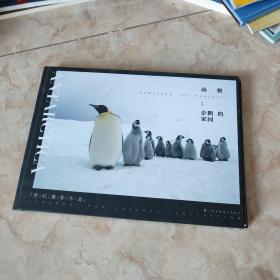 罗红摄影作品 南极 企鹅的家园