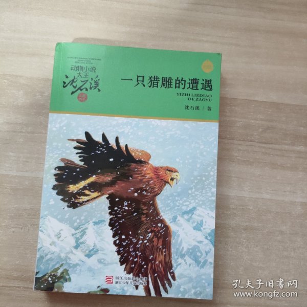 动物小说大王沈石溪·品藏书系·一只猎雕的遭遇