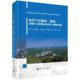 【全新正版】頁巖氣壓排采一體化高頻壓力監(jiān)測動態(tài)評價與創(chuàng)新實踐