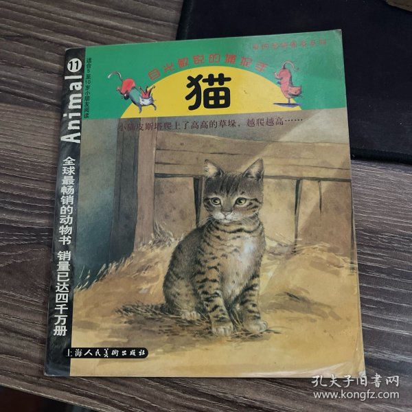 我的动物朋友系列·猫：目光敏锐的捕捉手