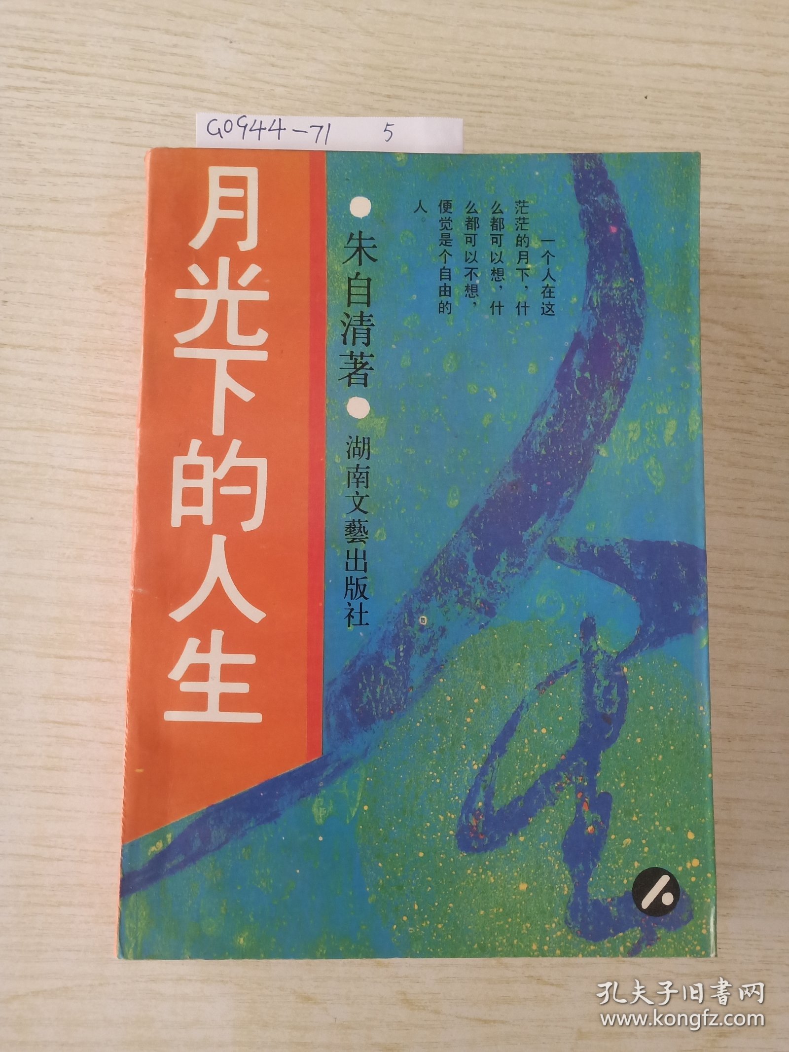 月光下的人生