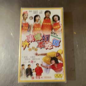 外来媳妇本地郎第二部41-80集20VCD（未拆封）