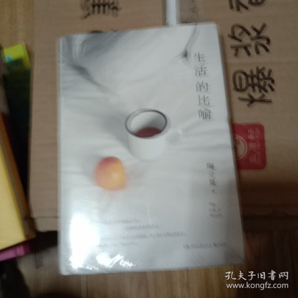 生活的比喻（全彩精装本，陶立夏全新作品，生活不在别处，就在我们的内心。）