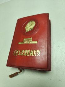 毛泽东思想胜利万