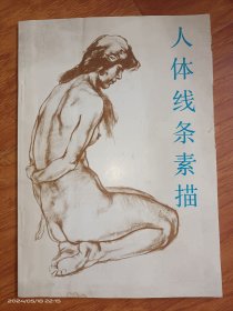 人体线条素描