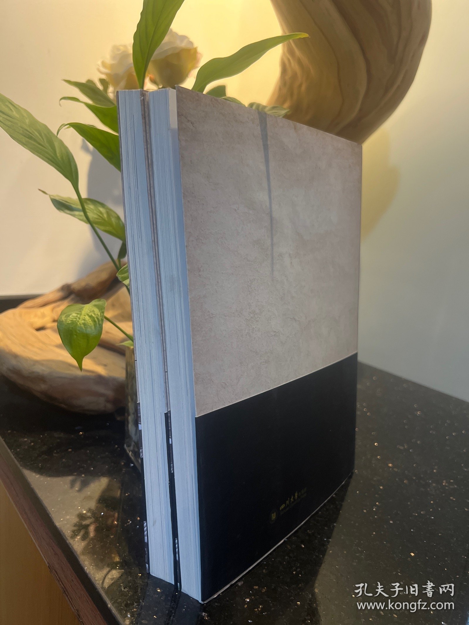 传承者说——羌族文化传承人口述史(上，下册)合售