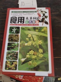 食用本草纲目彩色图鉴