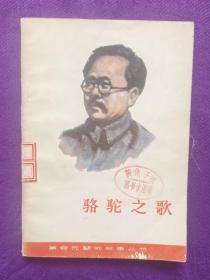 骆驼之歌