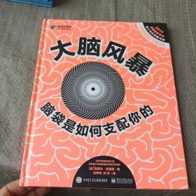 大脑风暴 脑袋是如何支配你的